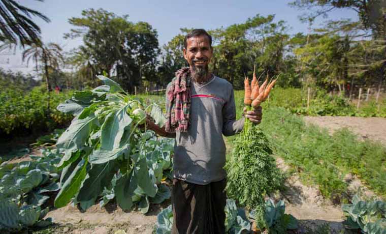 Harvesting of salt-tolerant vegetables is a great initiative for green entrepreneurship and sustainable Bangladesh